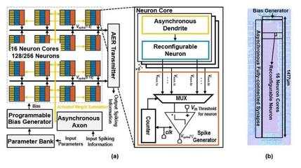 上海交大王國興團(tuán)隊(duì)研發(fā)出高能效脈沖神經(jīng)網(wǎng)絡(luò)加速器芯片，為類腦計(jì)算與邊緣智能注入新動(dòng)能